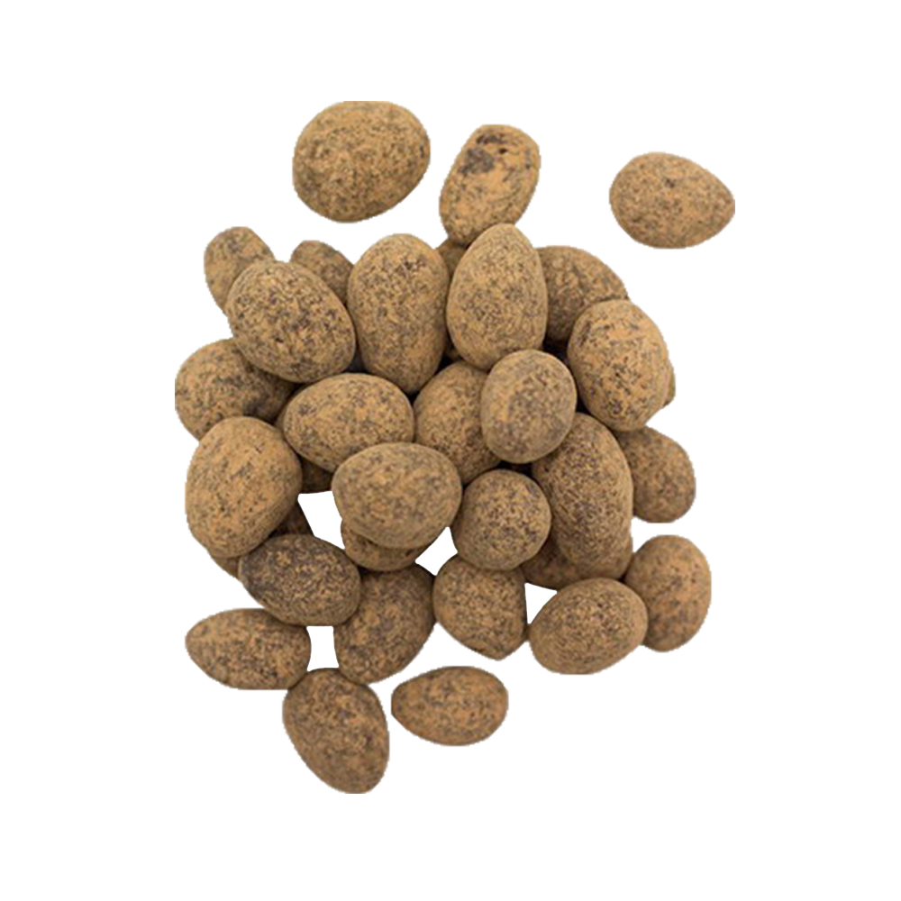 Chocolate Covered Sprouted Almonds