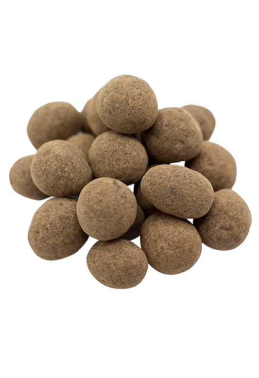 Sprouted Raw Chocolate Covered Hazelnuts - 5 lbs