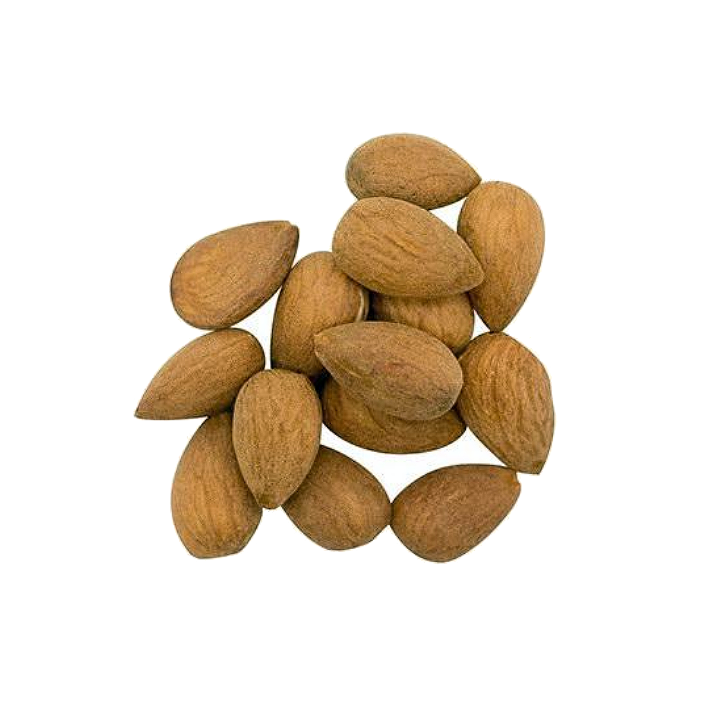 Sunbiotics Orhanic Gourmet Probiotics Snacks Original Almonds
