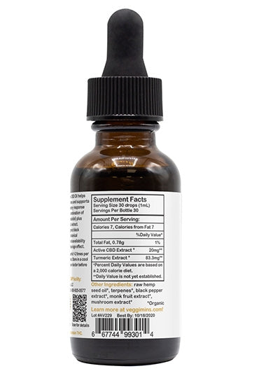 Erin Elizabeth's Nano Hemp Extract 600mg - Turmeric + Terpenes